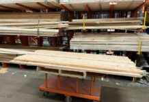 Potential Tariffs on Canadian Dairy and Lumber by Trump potential-tariffs-on-canadian-dairy-and-lumber-by-trump