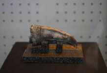 Ancient Noblewoman’s Remains Unearthed in Peru Excavation ancient-noblewomans-remains-unearthed-in-peru-excavation