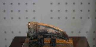 Ancient Noblewoman’s Remains Unearthed in Peru Excavation ancient-noblewomans-remains-unearthed-in-peru-excavation