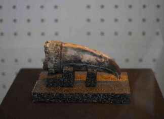 Ancient Noblewoman’s Remains Unearthed in Peru Excavation ancient-noblewomans-remains-unearthed-in-peru-excavation