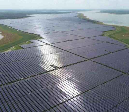 Reduced Subsidies for Renewable Power in Vietnam reduced-subsidies-for-renewable-power-in-vietnam