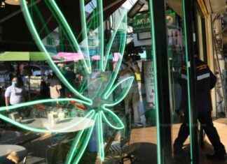 Thailand Requires Medical Certificates for Cannabis Users thailand-requires-medical-certificates-for-cannabis-users